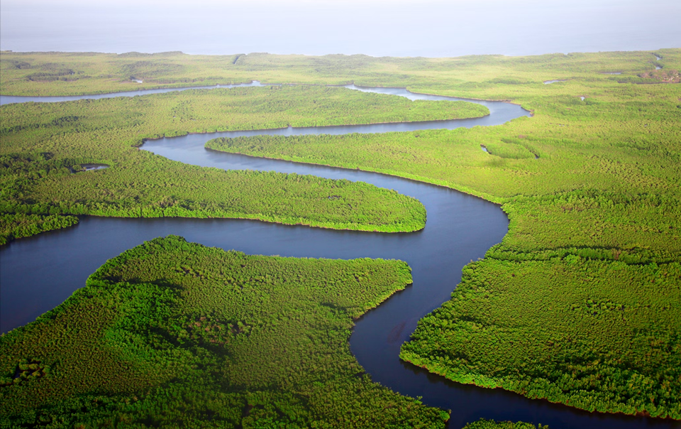 The Great Campfire and the Rising River: A Story of Trust in Hybrid Teams