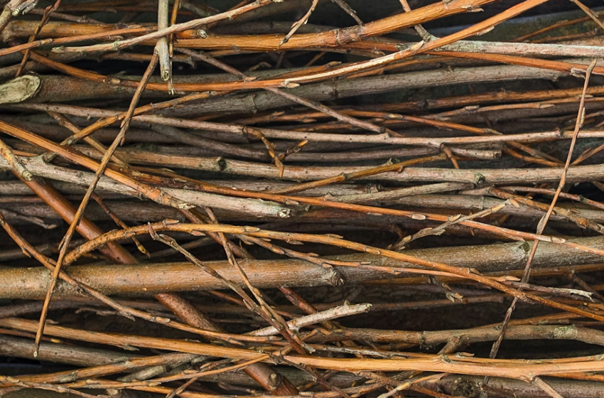 From Bundles to Constellations: Reimagining Team Alignment