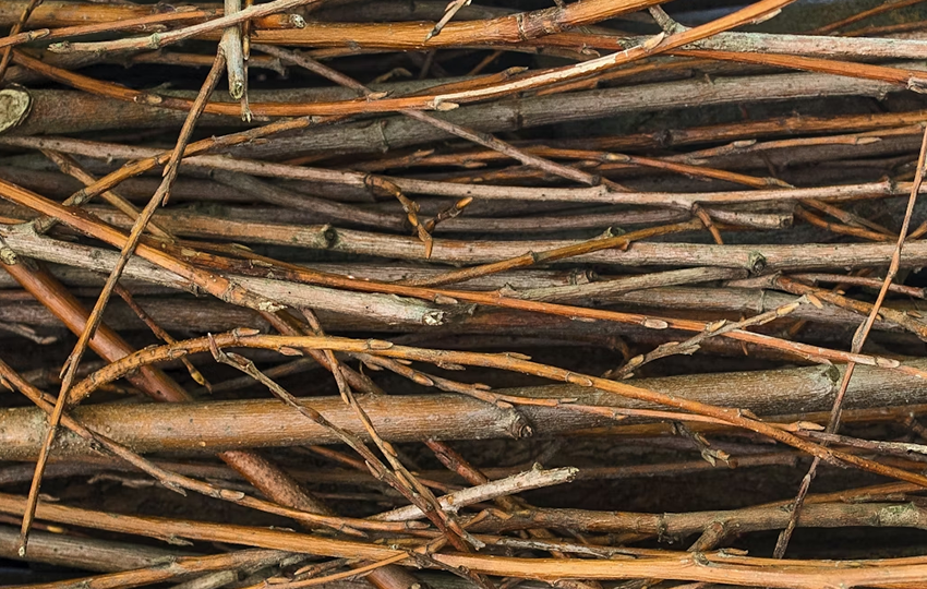 From Bundles to Constellations: Rethinking Team Alignment