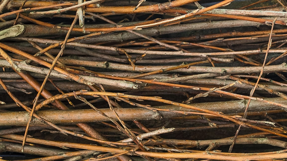Bundles of sticks